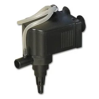 Unistar ice