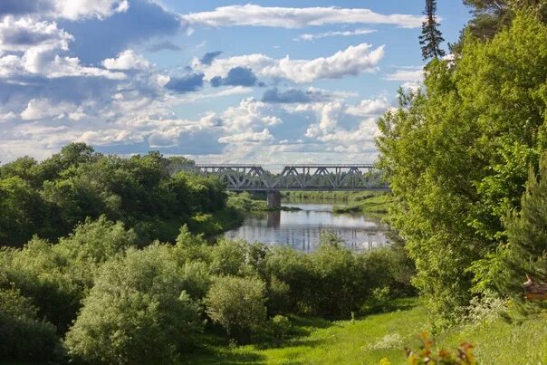 Озон в деревне фото