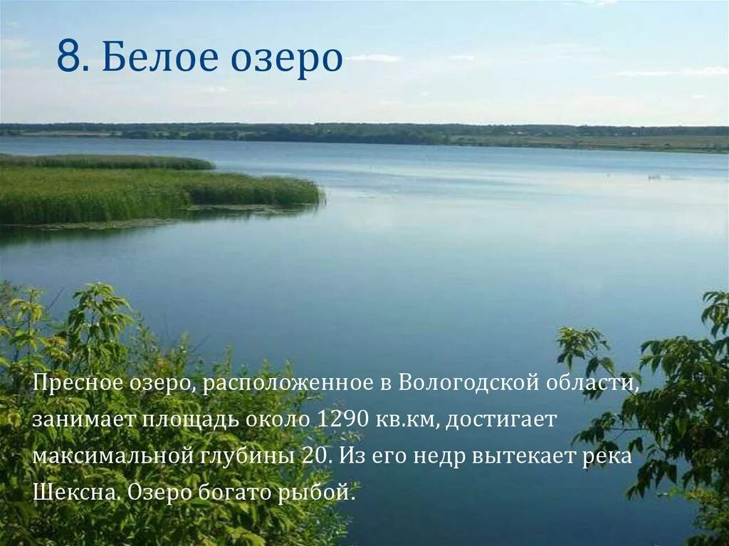 Какое озеро занимает 3. Самое большое озеро в Вологодской области. Белое озеро Вологодская область. Пресные озера. Рассказ о белом озере.