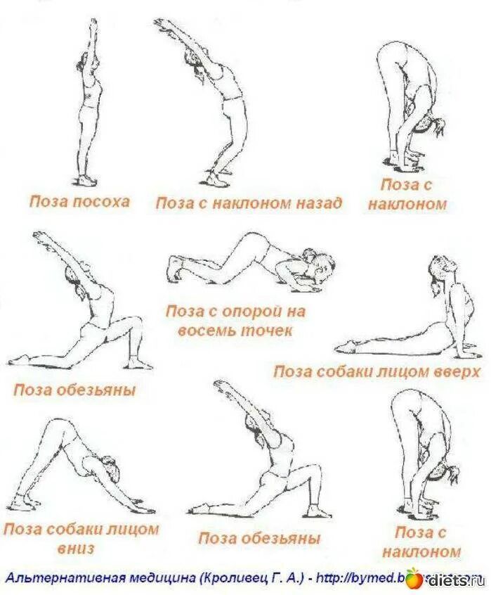 Названный позировавший. Хатха-йога комплекс асан. Йога базовые асаны для начинающих. Основные асаны в йоге для начинающих. Комплекс асан для начинающих в картинках с описанием.