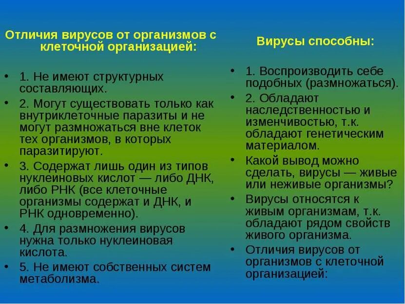 Отличие вирусов от клеточных форм жизни. Отличие вирусов от клеточных организмов. Отличие вирусов от живых организмов. Сходство вирусов с клеточными организмами.