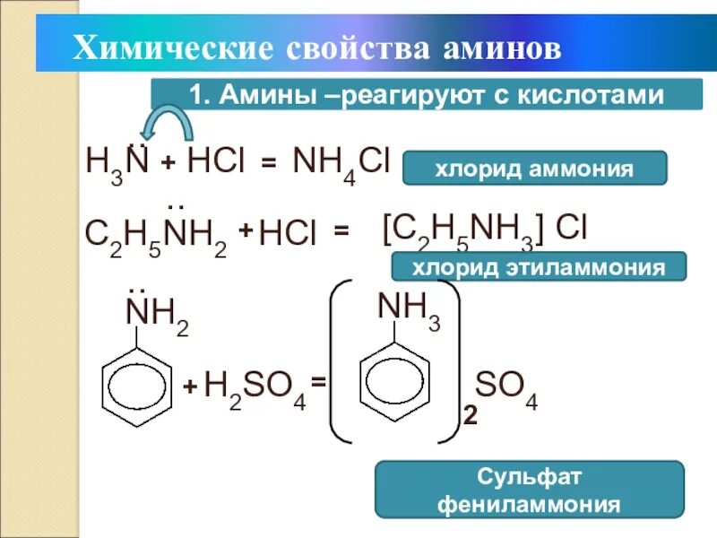 С чем реагируют амины. Хлорид фениламмония h2so4. Реакция Аминов с хлоридом аммония. Хлорид фениламмония +h2sor. Сульфат фениламмония.