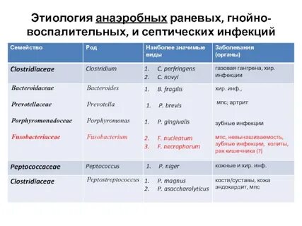 Гнойные возбудители