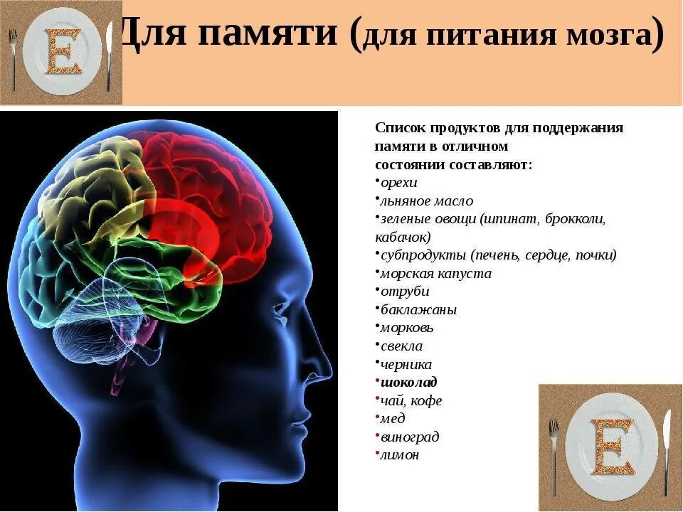 Во время деятельность мозга. Питание мозга человека. Мозг память. Продукты питания для мозга.