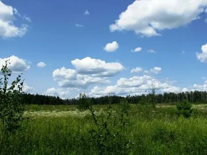 Участок 276