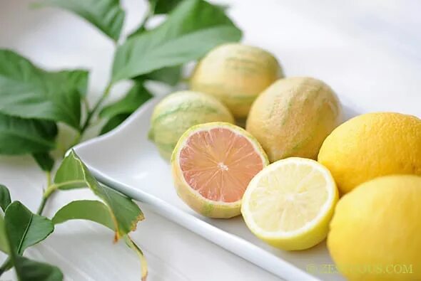 Розовый лимон. Лимон на розовом фоне. Розовый цитрус. Мякоть лимона. Pink lemon фрукт.