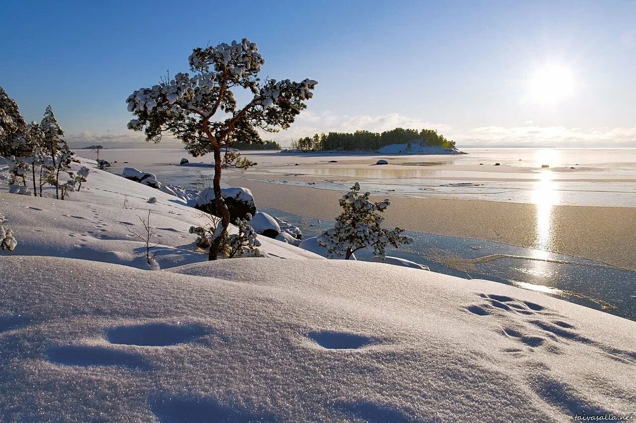 Финляндия январь. Финляндия Лапландия Карелия. Финский залив Репино зима. Зима озеро Финляндия. Обское море зимой.