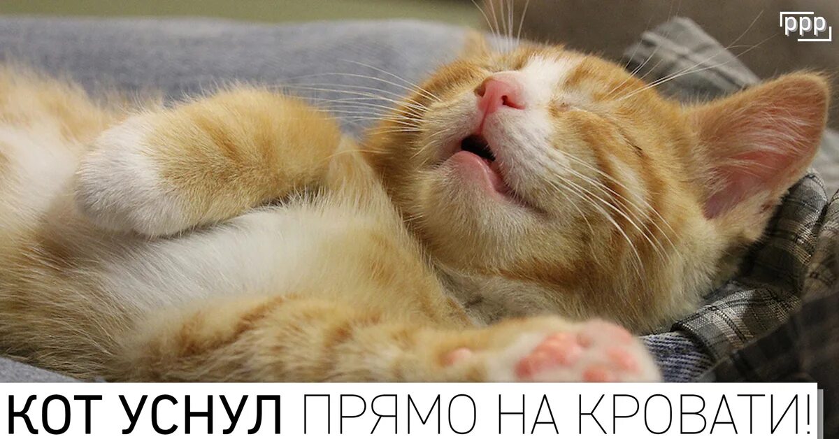 Проснулся ночью. Ребенок валяется. Спящий человек с котом. Нарушение сна. Бессонница.