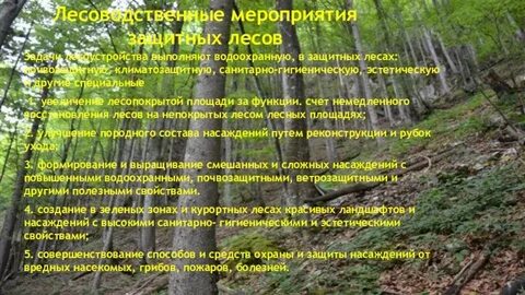 Функции выполняемые лесами