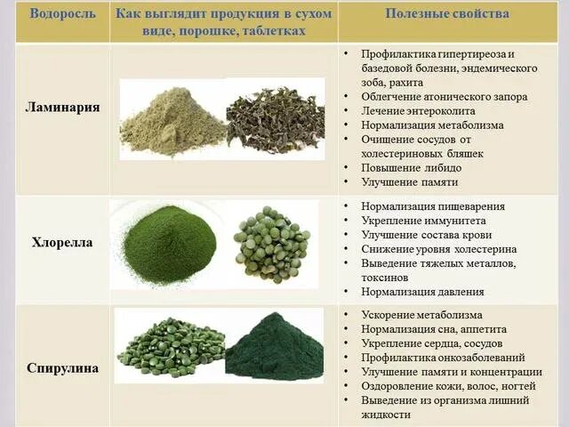 Зелень кинза (кориандр). Зелень кинза. Чем полезна свекла для организма. Turmeric для похудения. Чем она еще полезна.