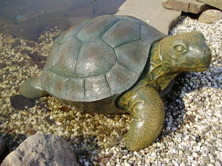 Черепаха для сада. Садовая скульптура черепаха. Черепашка из цемента. Черепаха из цемента для сада. Черепахи новосибирск