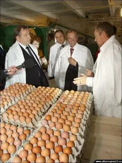 Птицефабрики края