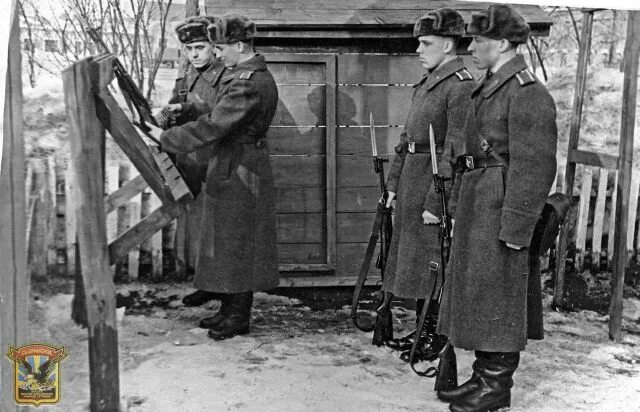 Солдат в карауле. Караульный канал z. Караульный канал z. Гарнизонный караул. Караульный канал z.