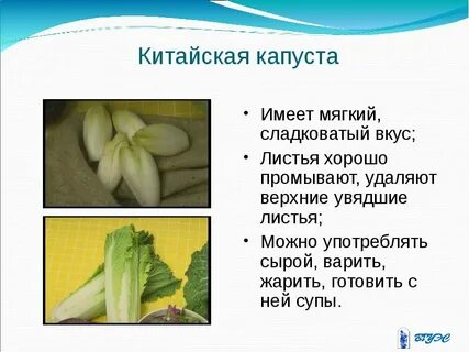 Вкус листа