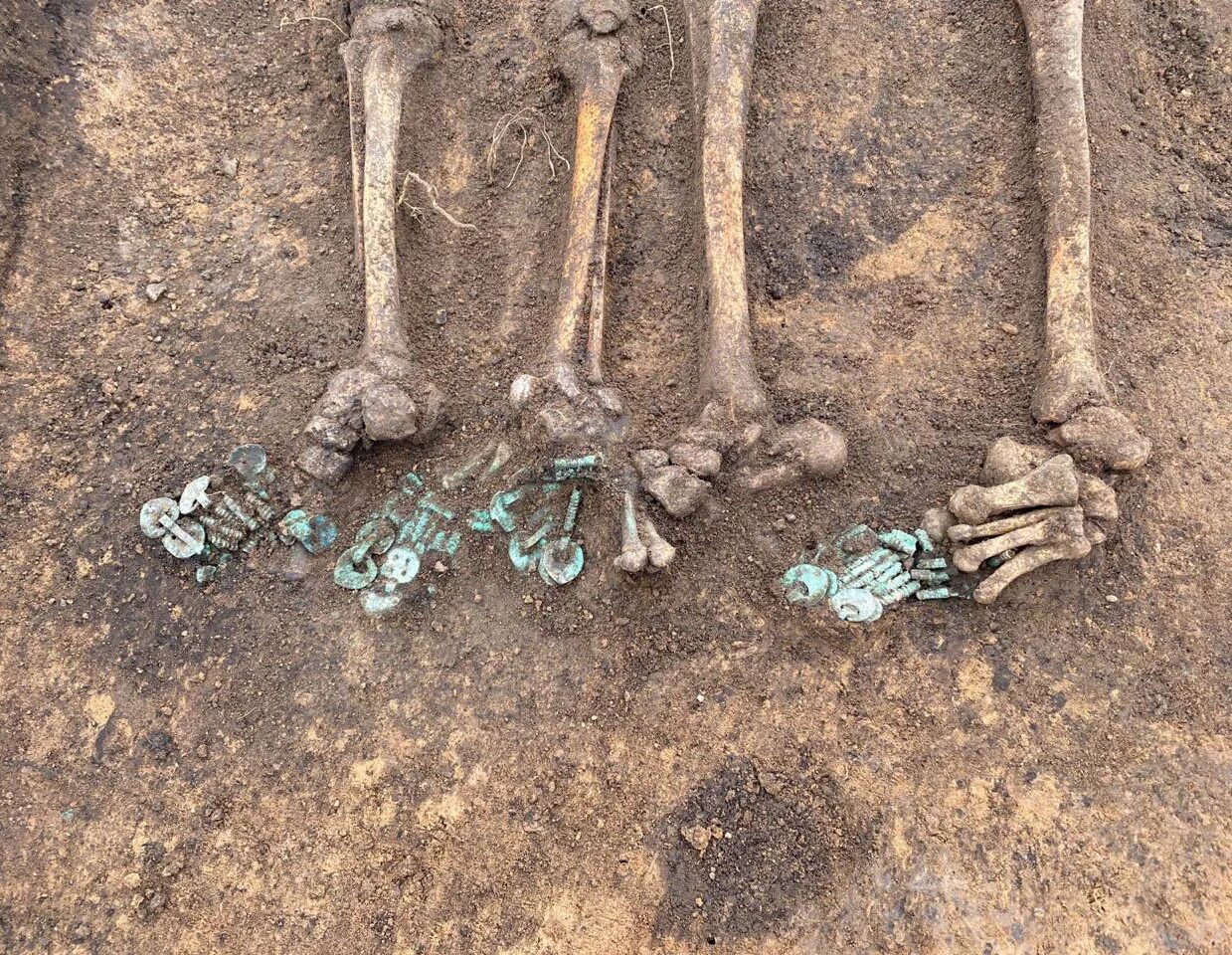 Могильников. Могильников. Могильников мэр тулы. Раскопки в майме. Могильник гнездилово.