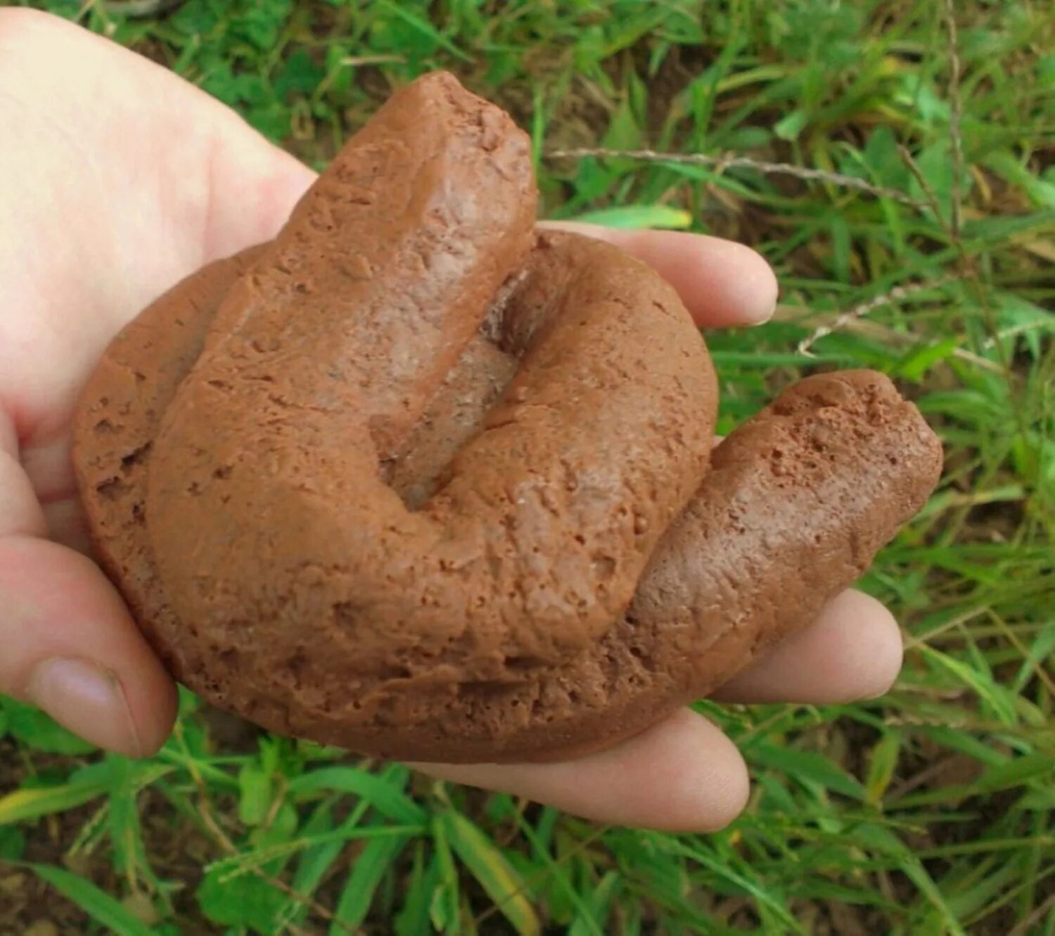 Земля какашка. Земля какашка