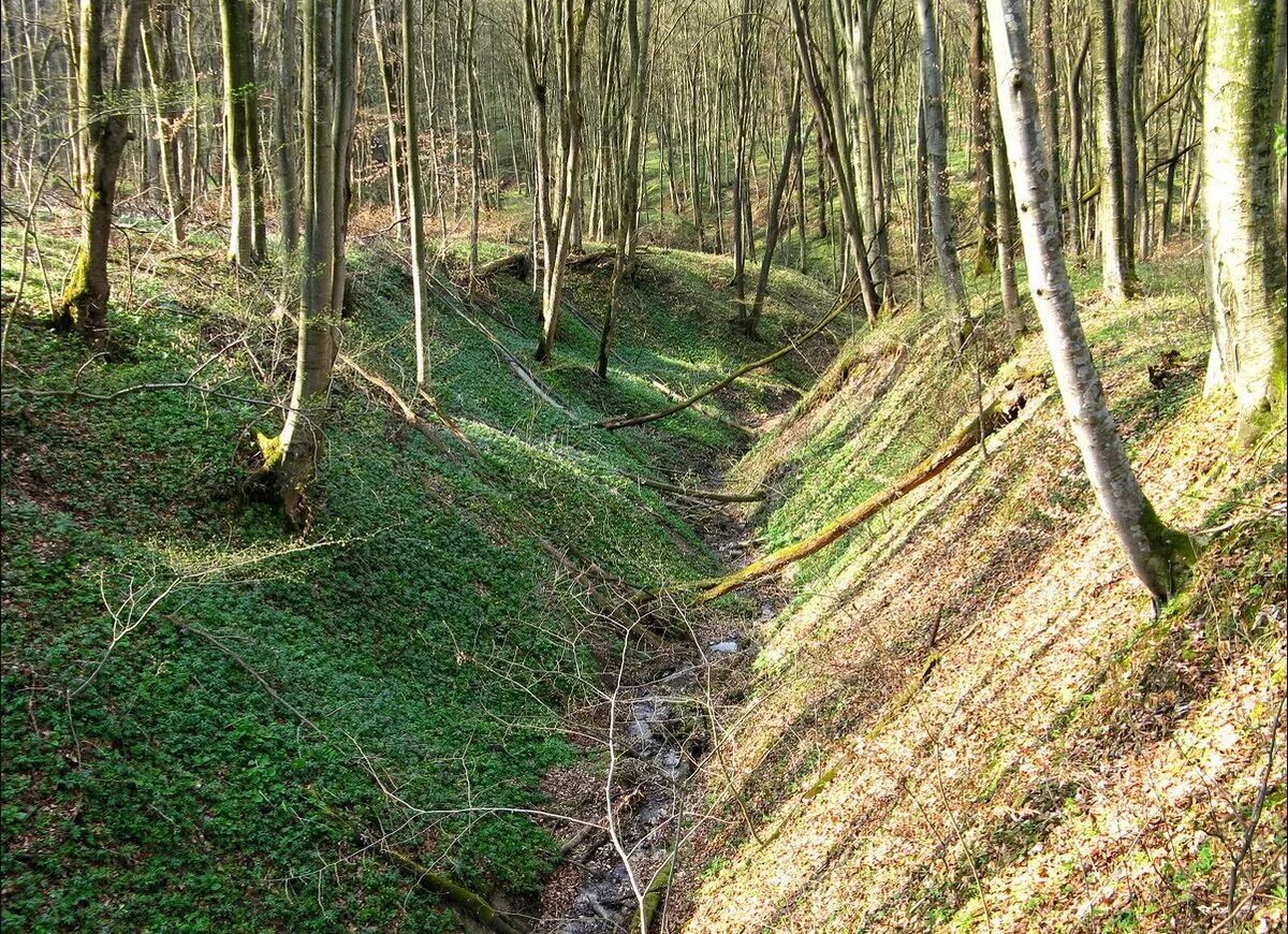 Ручеек поворачивал направо и струился вдоль большого. Пым ва шор нарьян мар. Ручейки ранней весной. Прилетев на место гуси шумно опускаются на воду грохот ближнего боя. Б.