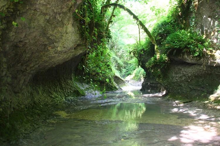волконское ущелье лазаревское. мамедово ущелье лоо. мамедово ущелье лазаревское. мамедова щель лазаревское. мамедово ущелье каньон лазаревское.