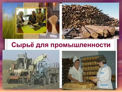 Сырье для промышленности