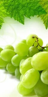 Виноград телефон