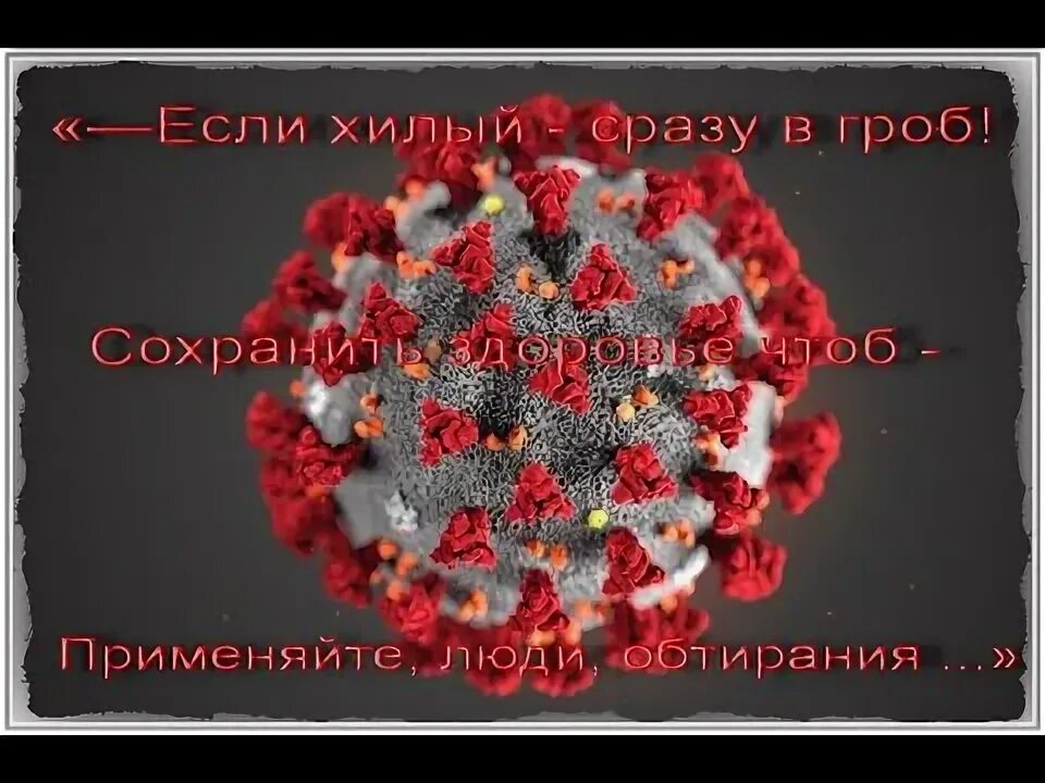 Если хилый сразу в гроб. Очень вырос в целом мире гриппа вирус три-четыре. Высоцкий стихи гимнастика. Негры с гробом. Песня вдох текст.