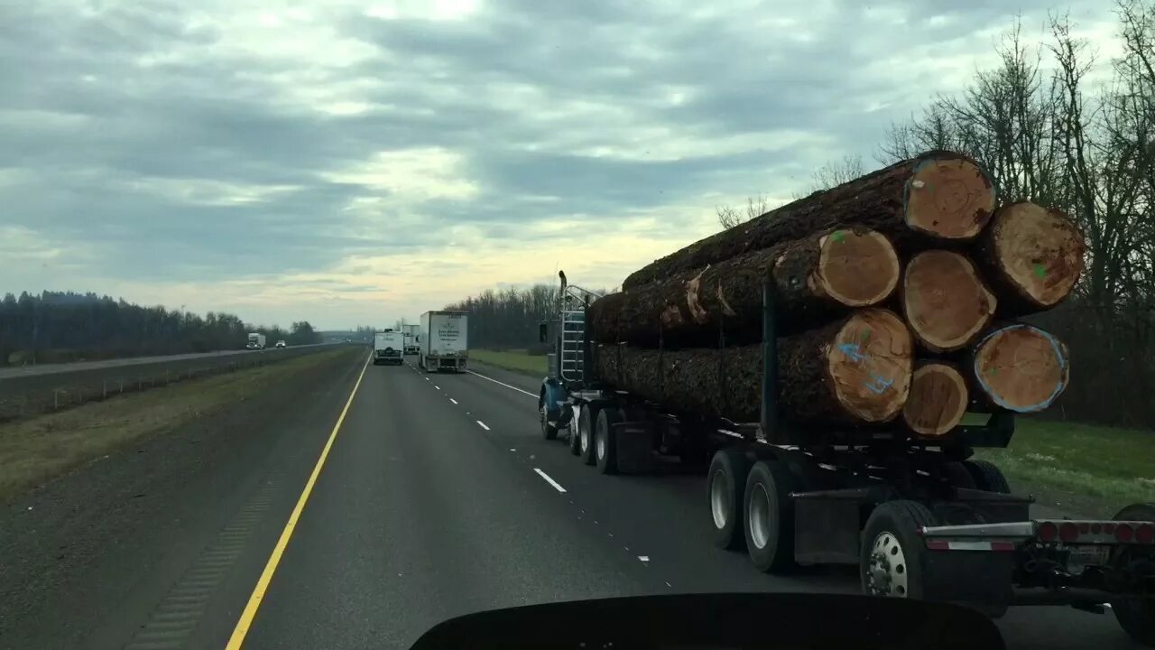 Life on the Road (судьба дорога). Дальнобой американец. Дальнобой США судьба дорога видео. Дорога на Аляску видео дальнобойщики.