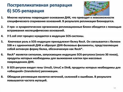 Sos репарация