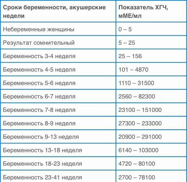 Количество клеток у эмбриона