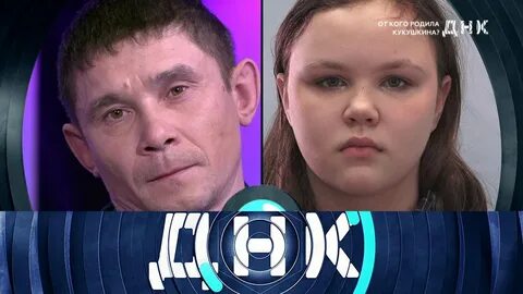 Днк 23 года