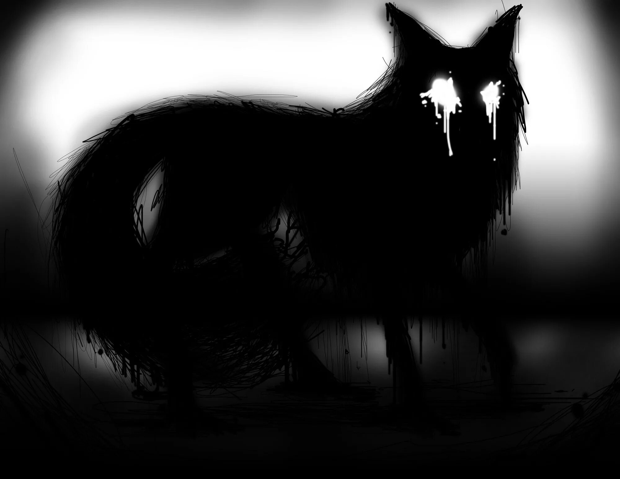 Dark fox