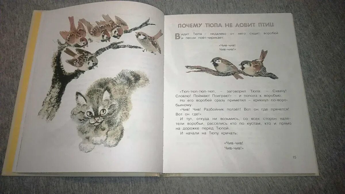 Махаон е. Я тебя тюп тю. Котенок тюпа. Почему тюпу прозвали тюпой. Книга чарушин томка тюпа.
