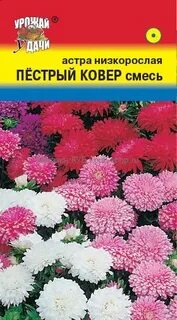 Астрой ковров