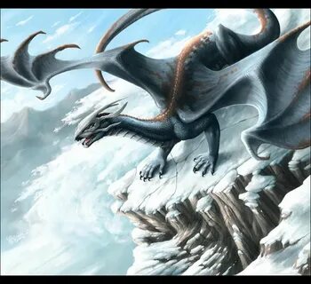 Драконов dragons