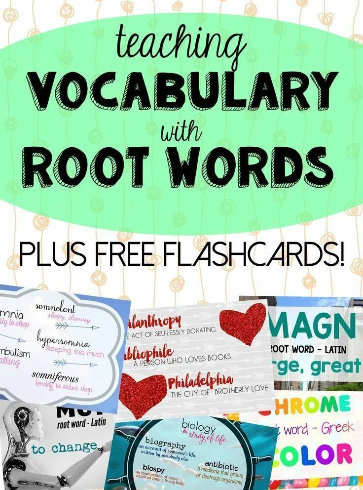 Teaching Vocabulary. How to teach Vocabulary. Teaching New Words. Activities for teaching Vocabulary. Teacher vocabulary