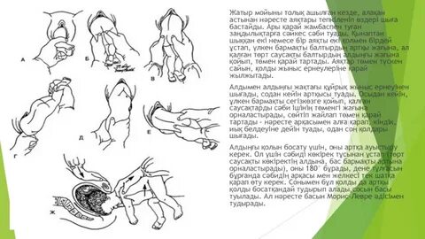 Танымал еркектер жалаңаш