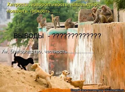 Нахальство