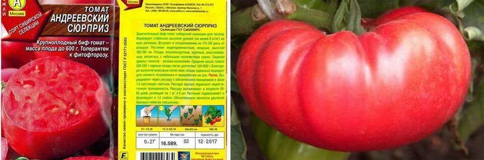 Штамбовые черри томаты. Помидор штамбовый король. Седек томат жемчужина красная. Штамбовые сорта помидор. Томат штамбовый крупноплодный 0,05гр семена алтая.