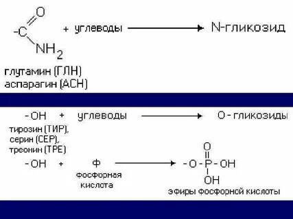 Биохимия 2