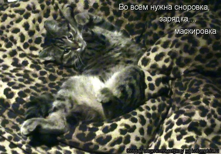 потерять сноровку. песня про спорт текст. во всем нужна сноровка закалка тренировка. во всём нужна сноровка закалка тренировка картинки. во всём нужна сноровка закалка тренировка картинки.