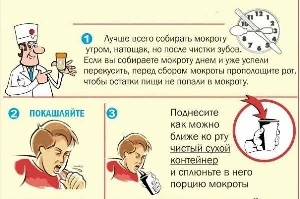 Натощак можно ли чистить зубы