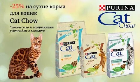 Описание корма для кошек