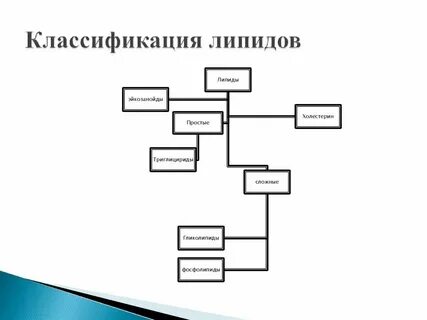 Углеводы липиды презентация