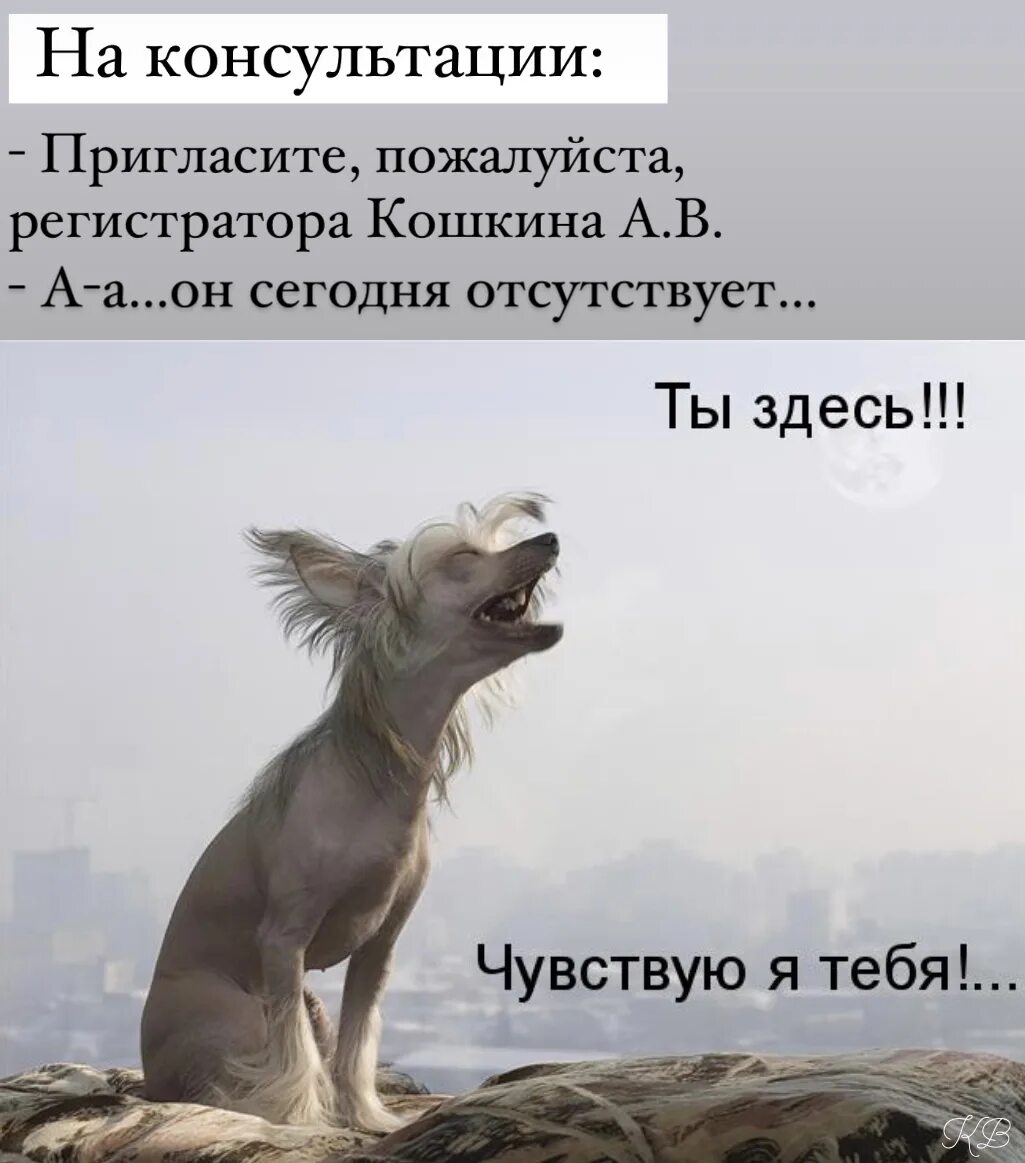 Как говорится вспомнишь