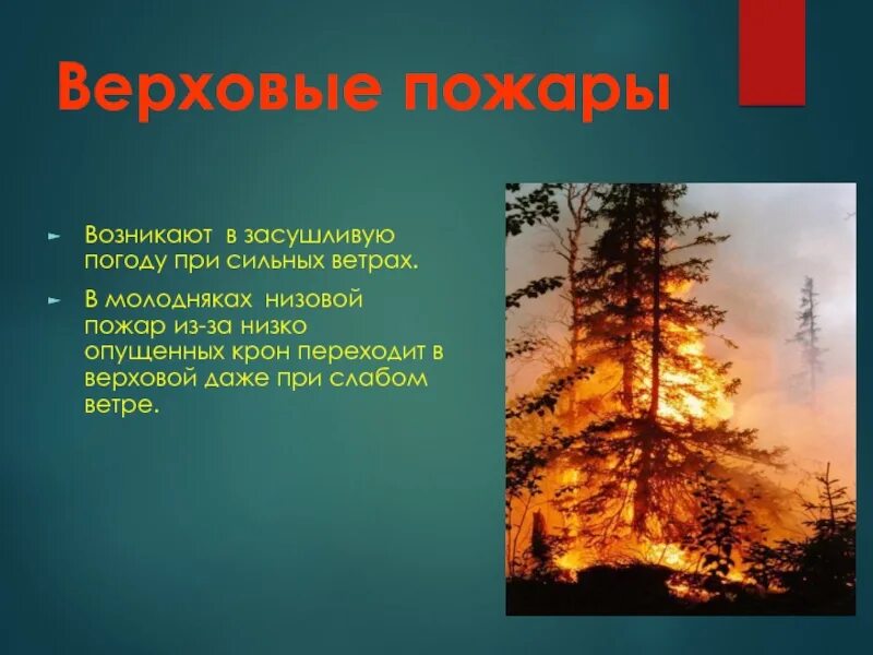 Верховой пожар наиболее опасен ответы. Низовой пожар. Сильные ветры возникают в. Низовой ветер. Что значит низовой ветер.