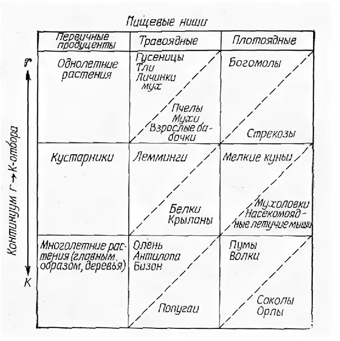 Описание экологической ниши организма лабораторная работа 9. Описание экологической ниши таблица. Описание экологической ниши организма таблица. Экологические ниши примеры таблица. Местообитание и экологические ниши таблица.