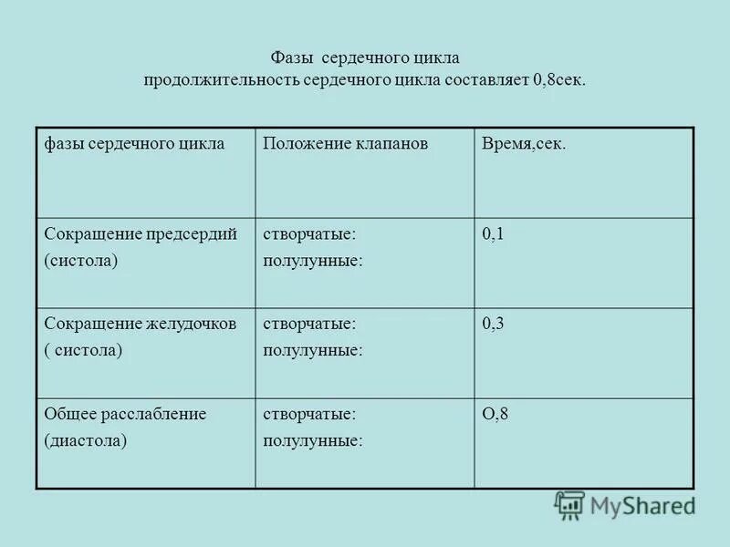 Определите фазы сердечного цикла. Фазы сердечного цикла. фазы работы сердца.