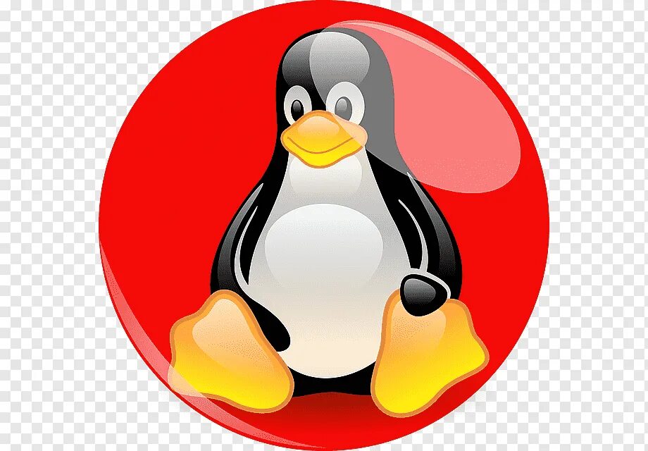 Через линукс. Пингвин линукс. linux операционная система пингвин. эмблема линукс. linux логотип.