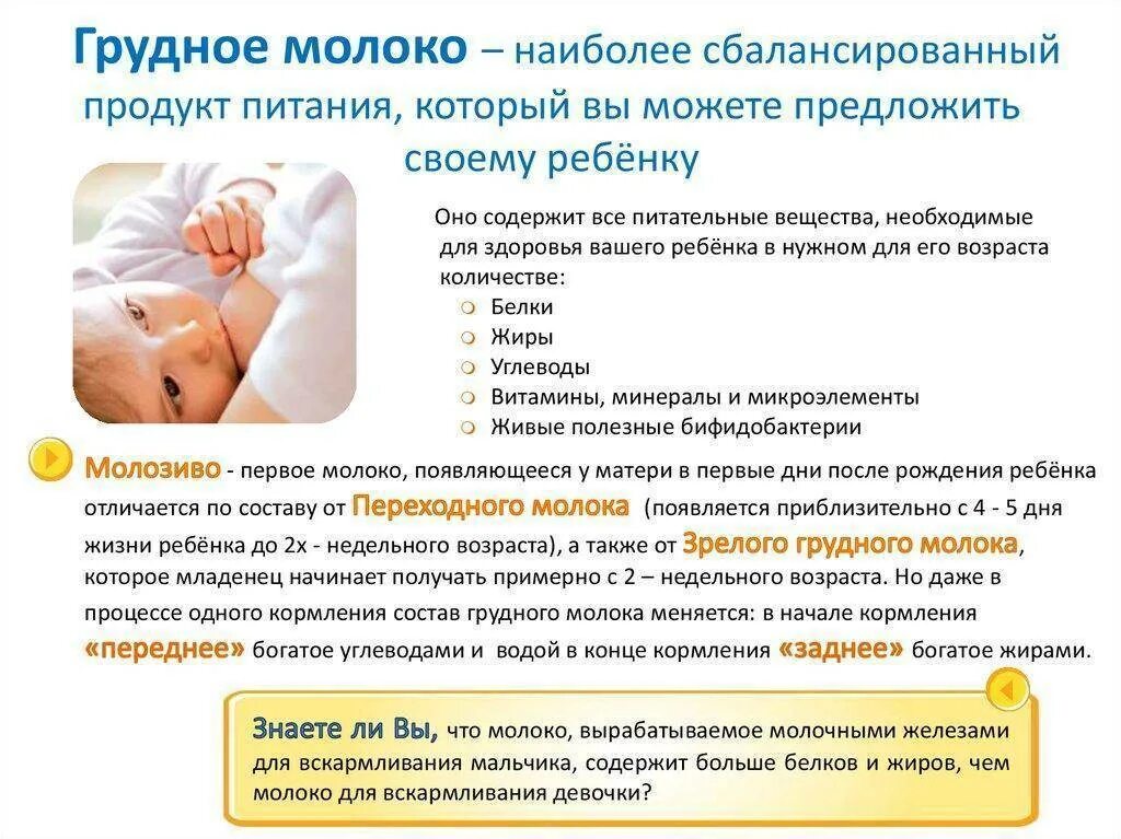 Через сколько выкладывать на живот после кормления