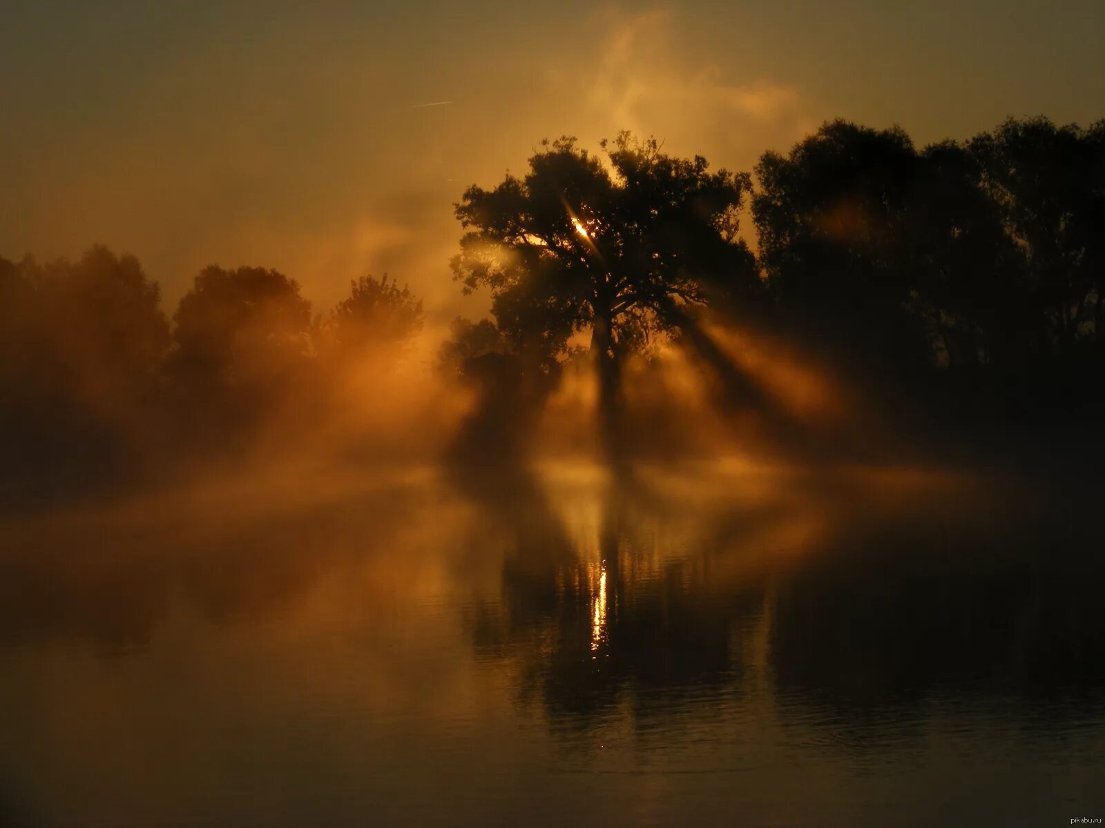 Город в тумане. Фронтальный туман. Туман над головой. Силуэт в тумане. Над туманом.