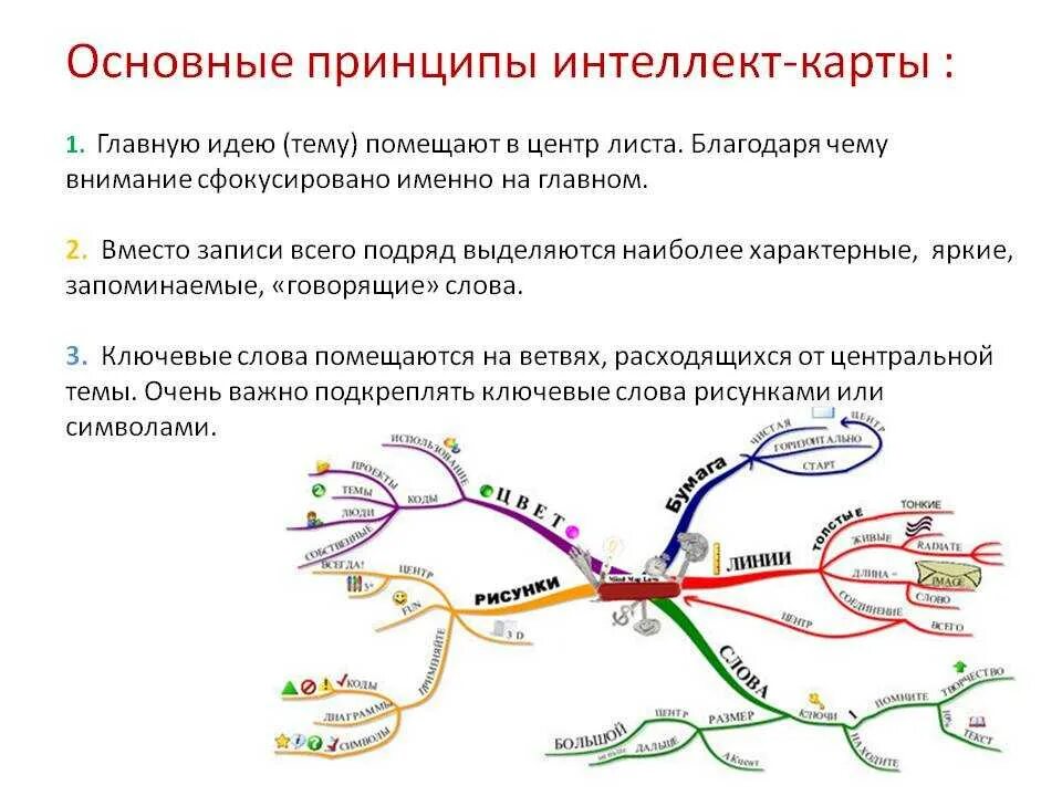 Интеллект карта правила составления. Правила построения интеллект карты. Интеллектуальная карта пример. Прием составления интеллект карты предполагает. Основные правила карт